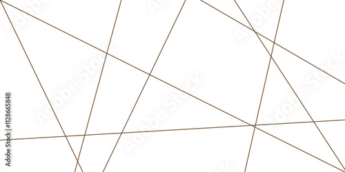 Abstract lines in black and white tone of many squares and rectangle shapes on white background. Metal grid isolated on the white background. nervures de Feuillet mores, fond rectangle and geometric.
