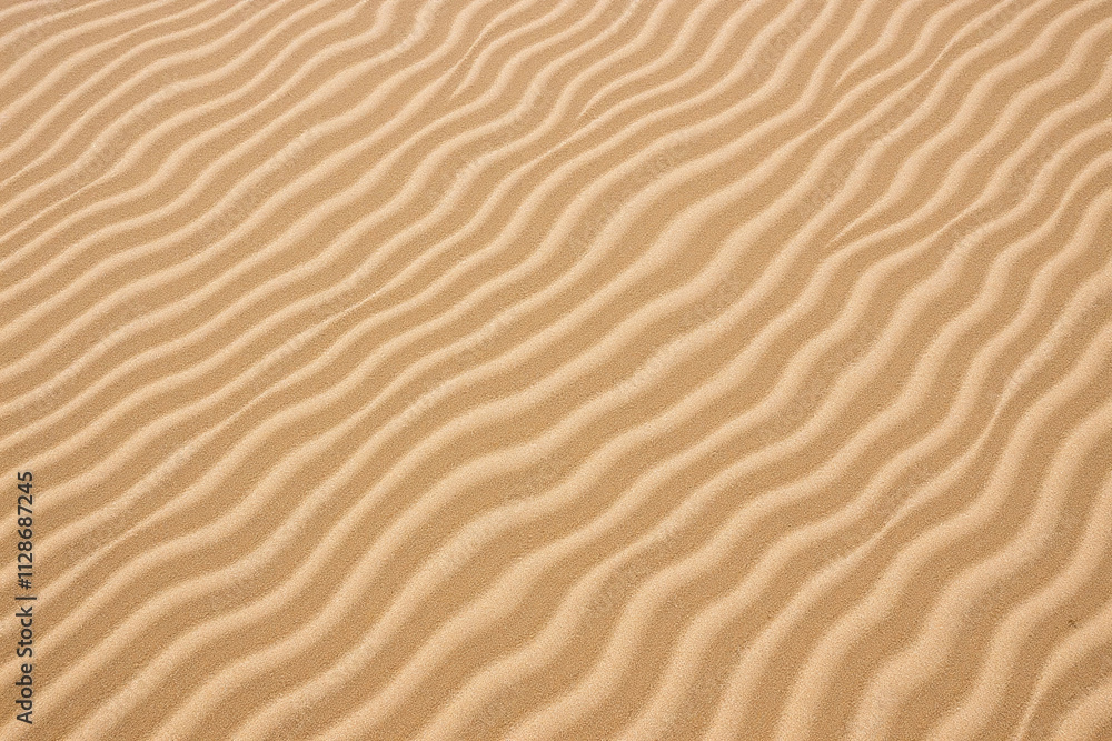 Textured sandy surface beach ridges troughs light brown pattern Textured sandy surface beach ridges troughs light brown pattern