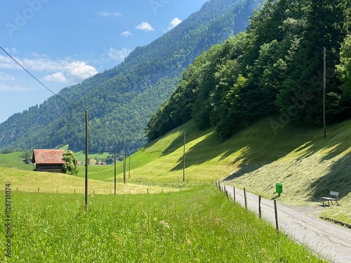 Promenade along Lake Lungern or recreational trails along the natural reservoir Lungernsee - Canton of Obwald, Switzerland (Spazierwege entlang des Lungererses - Kanton Obwalden, Schweiz) photo