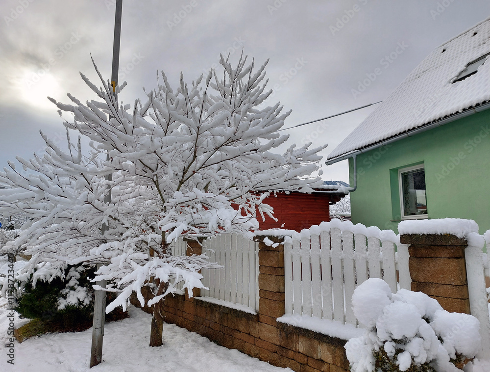 Fluffy white snow on tree, house and palisade. Slovenia. Europe. Winter