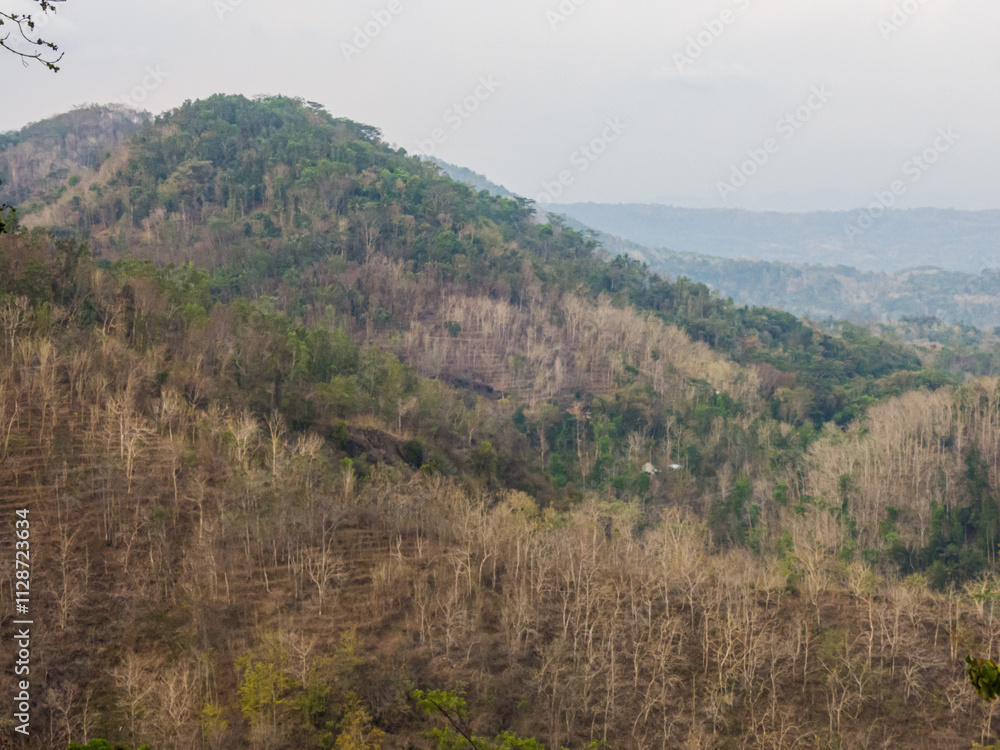View hill with drying teak forest View hill with drying teak forest