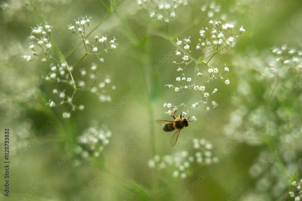 wild flowers on green grass background wild flowers on green grass background
