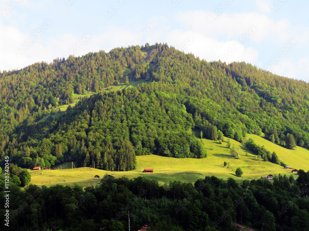 Obraz premium Alpine mountains above Lake Lungern or mixed forest above the natural reservoir Lungernsee - Canton of Obwald, Switzerland (Alpenberge und Mischwald oberhalb des Naturstausee Lungererses - Schweiz)