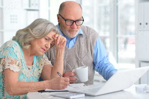 Portrait of an elderly couple using a laptop at home