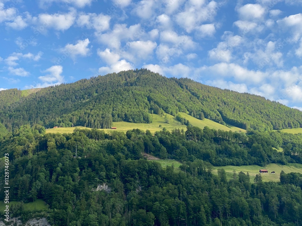 Obraz premium Alpine mountains above Lake Lungern or mixed forest above the natural reservoir Lungernsee - Canton of Obwald, Switzerland (Alpenberge und Mischwald oberhalb des Naturstausee Lungererses - Schweiz)