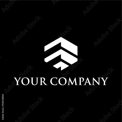 Very strong and modern house roof logo concept