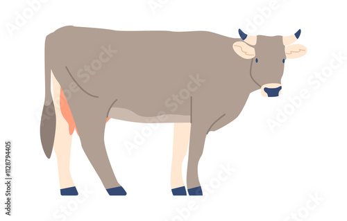 Grey breed of cow vector illustration