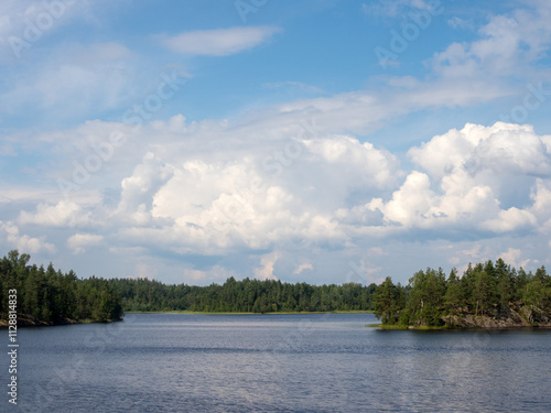forest lake in summer