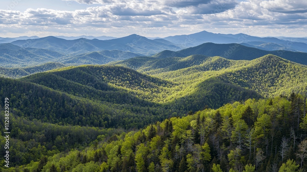 Fototapeta premium Verdant Appalachian Mountain Range Panorama Under a Cloudy Sky