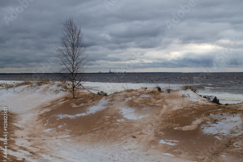 Photos A gloomy December day on the coastal dunes of the Gulf of Finland