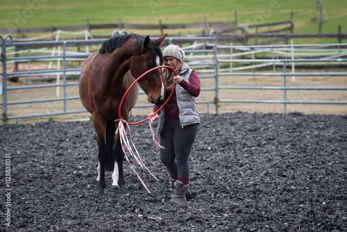 Horse with young woman during calm training, with ring and ribbon. photo