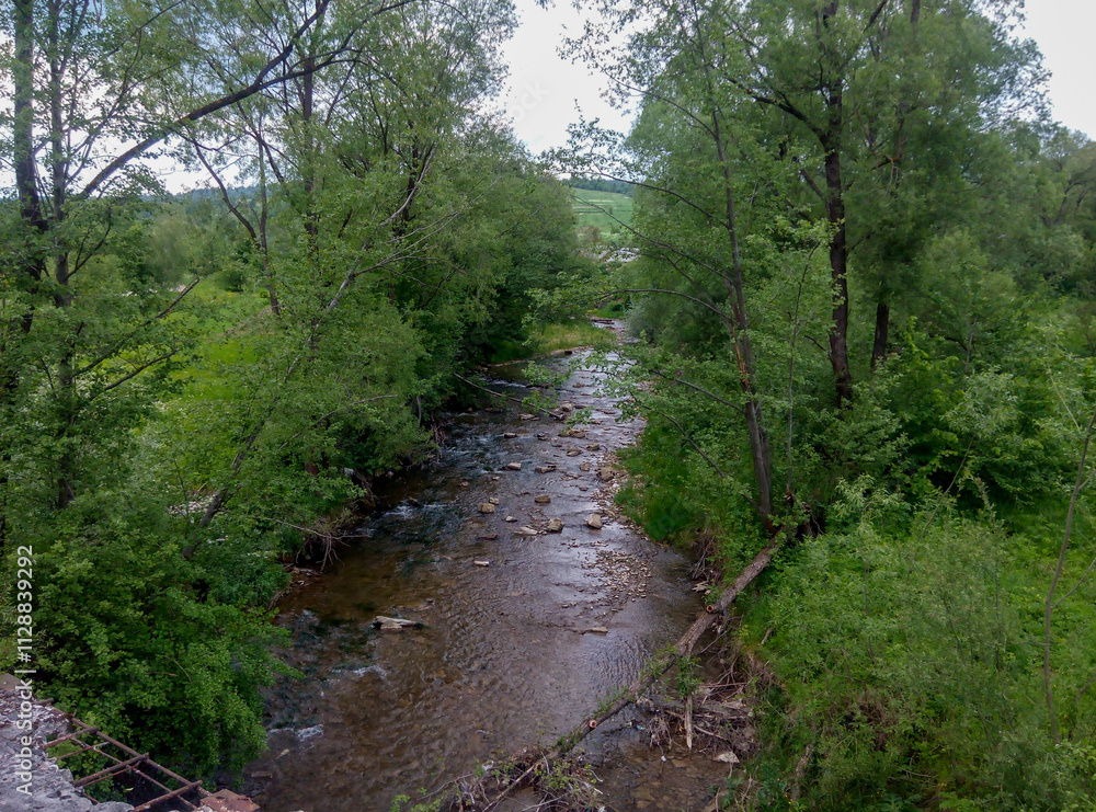Peaceful Forest Stream with Lush Greenery: A serene forest stream surrounded by vibrant green trees and foliage, with a clear view of the rocky riverbed and tranquil natural scenery. Peaceful Forest Stream with Lush Greenery: A serene forest stream surrounded by vibrant green trees and foliage, with a clear view of the rocky riverbed and tranquil natural scenery.