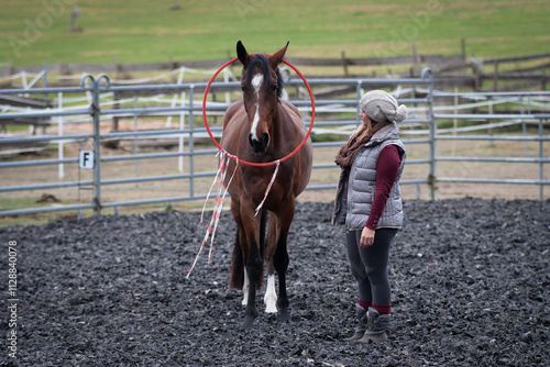 Horse with young woman during calm training, with ring and ribbon. photo