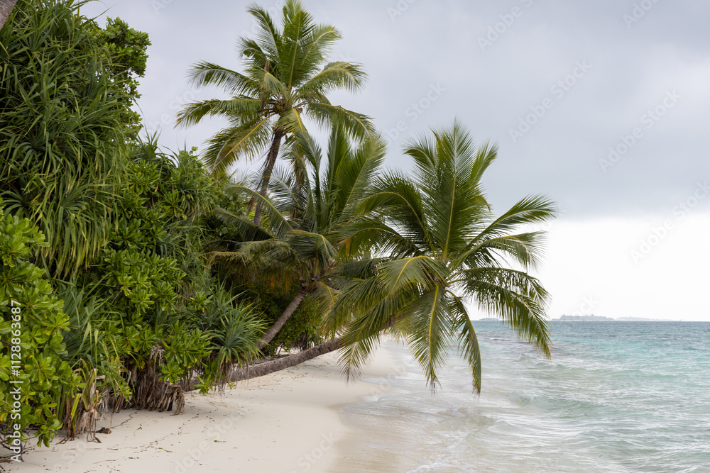 Fototapeta premium Maldivische paradise