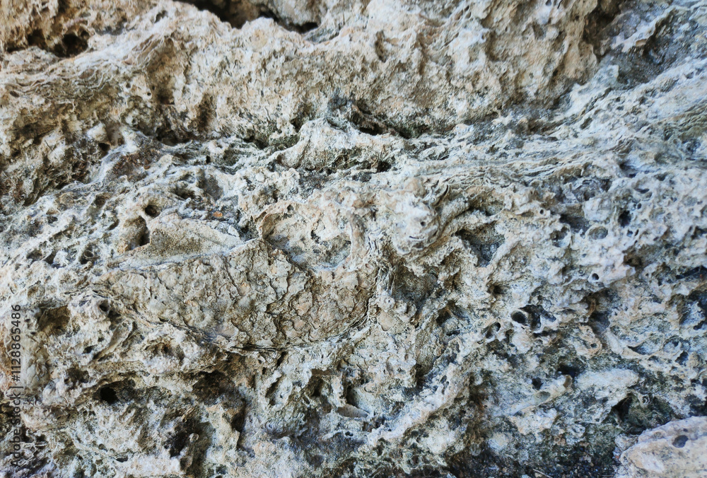 Textured Limestone Close-Up A detailed close-up of weathered limestone, showcasing its rugged texture, natural erosion patterns. Textured Limestone Close-Up A detailed close-up of weathered limestone, showcasing its rugged texture, natural erosion patterns.
