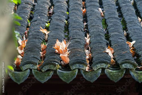 Yellow leaves on the roof tiles of an ancient building in Shanghai