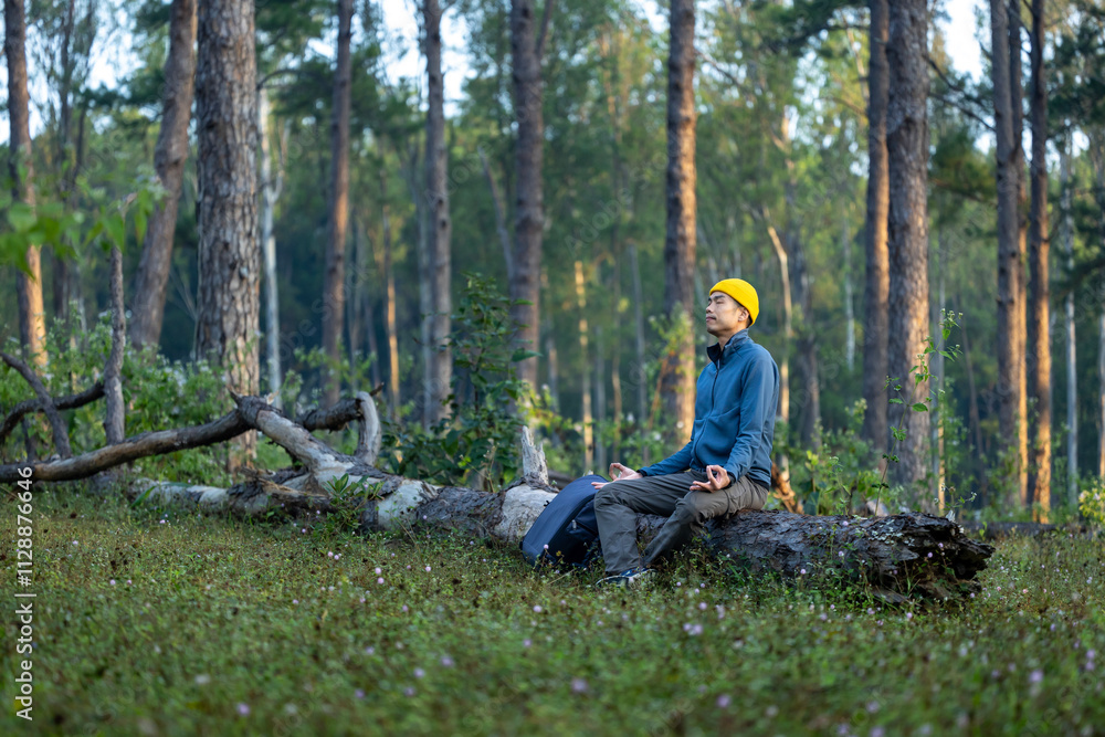 Asian man is relaxingly practicing meditation in pine forest to attain happiness from inner peace wisdom with ray of sun light for healthy mind and soul for healthy mind and soul Asian man is relaxingly practicing meditation in pine forest to attain happiness from inner peace wisdom with ray of sun light for healthy mind and soul for healthy mind and soul