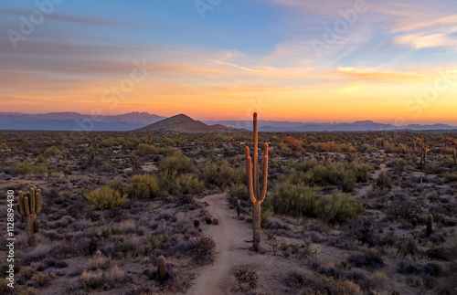 Desert Sunset Landscape Along Trail In The Arizona Sonoran Desert Near Phoenix 