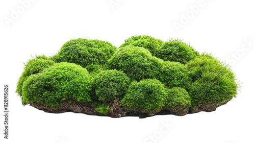 Verdant Moss Island, lush green clusters with rich texture evoke natural serenity against a white backdrop Isolated on white background or PNG