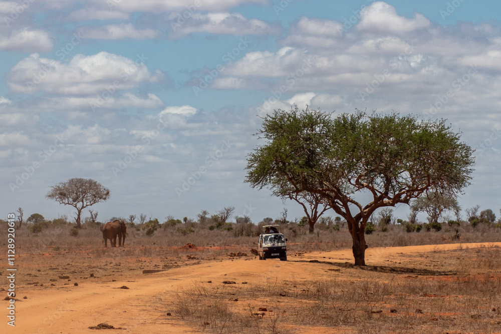Safari van stopped in front of a lonely elephant Safari van stopped in front of a lonely elephant