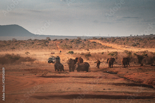 Tourists on a van observe African elephants