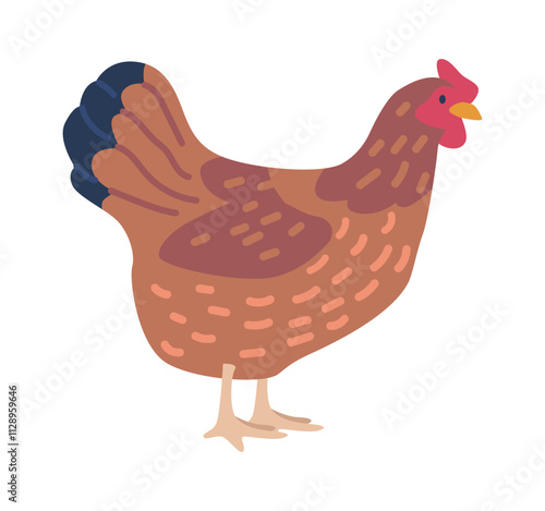 Chicken maran breed vector illustration