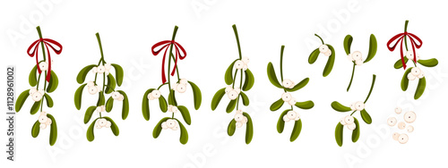 Collection of mistletoe branches with white berries and red bow. Christmas decoration. Vector illustration on white background.