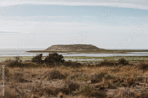 Vista panorámica de la Isla de los Pájaros en el Golfo de San José, Chubut, Argentina