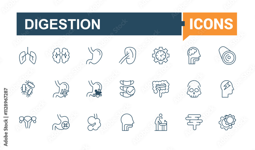 Digestion thin line icon set. Contains such icons as lacto, anatomy, digest, diarrhea, flora and more. Simple line vector. Vector illustration in modern line style. Digestion thin line icon set. Contains such icons as lacto, anatomy, digest, diarrhea, flora and more. Simple line vector. Vector illustration in modern line style.