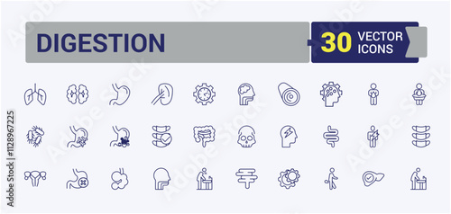 Digestion thin line icon set. Contains such icons as lacto, anatomy, digest, diarrhea, flora and more. Simple line vector. Vector illustration in modern line style.