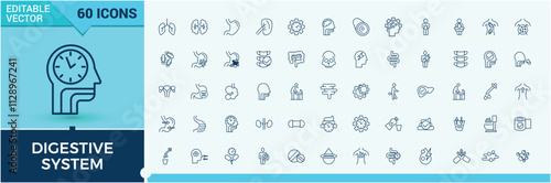 Digestion thin line icon set. Contains such icons as lacto, anatomy, digest, diarrhea, flora and more. Simple line vector. Vector illustration in modern line style.
