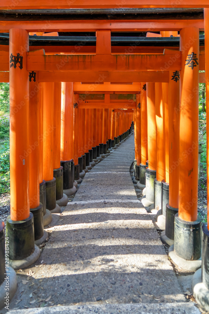 The red Torii gates form long strings through the sacred grove of Mount Inari on the grounds of the Fushimi Inari Shrine and in Kyoto, Japan The red Torii gates form long strings through the sacred grove of Mount Inari on the grounds of the Fushimi Inari Shrine and in Kyoto, Japan