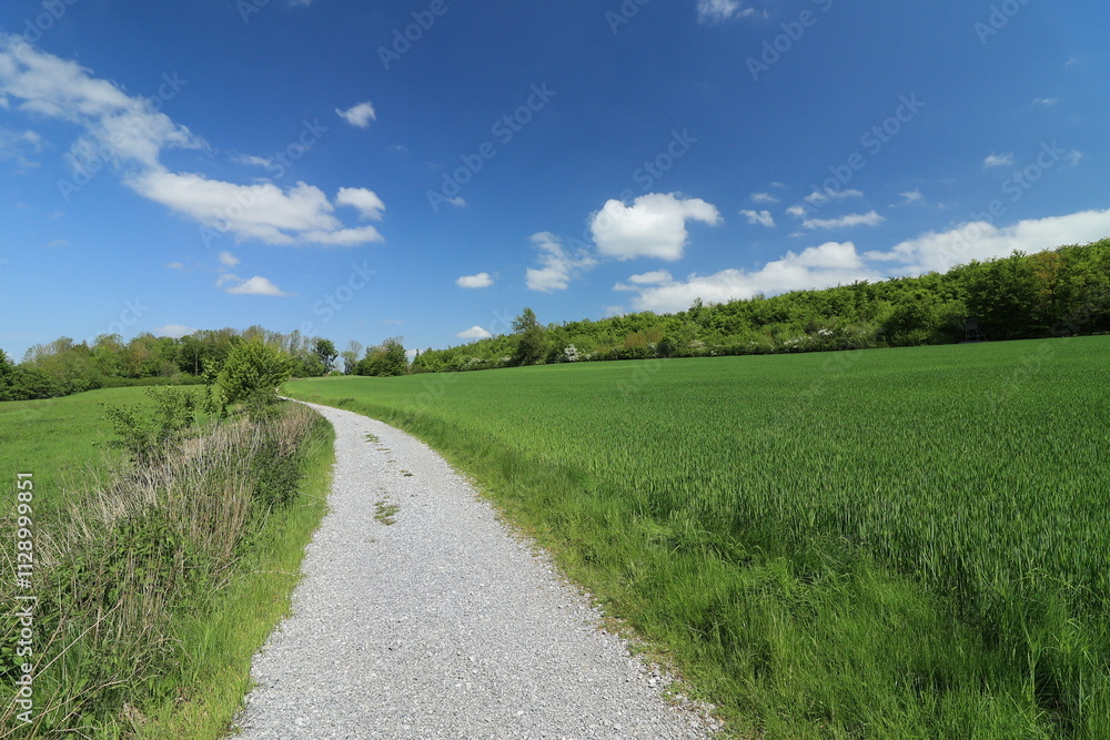 Blick auf die Frühlingshafte Naturlandschaft der Stadt Balve im Sauerland Blick auf die Frühlingshafte Naturlandschaft der Stadt Balve im Sauerland