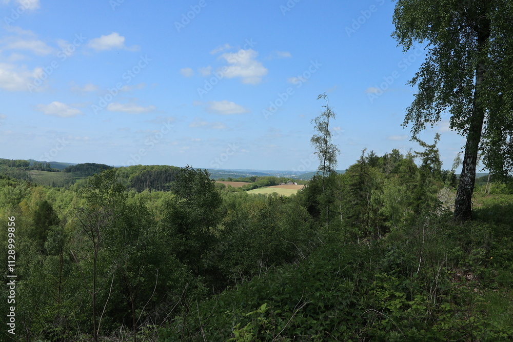 Blick auf die Frühlingshafte Naturlandschaft der Stadt Balve im Sauerland Blick auf die Frühlingshafte Naturlandschaft der Stadt Balve im Sauerland