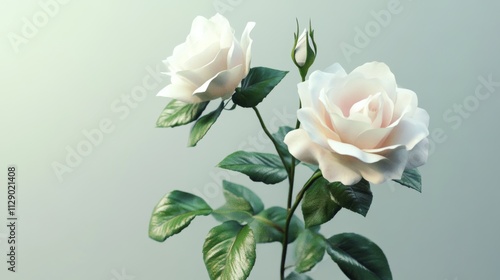 Elegant White Roses with Lush Green Leaves