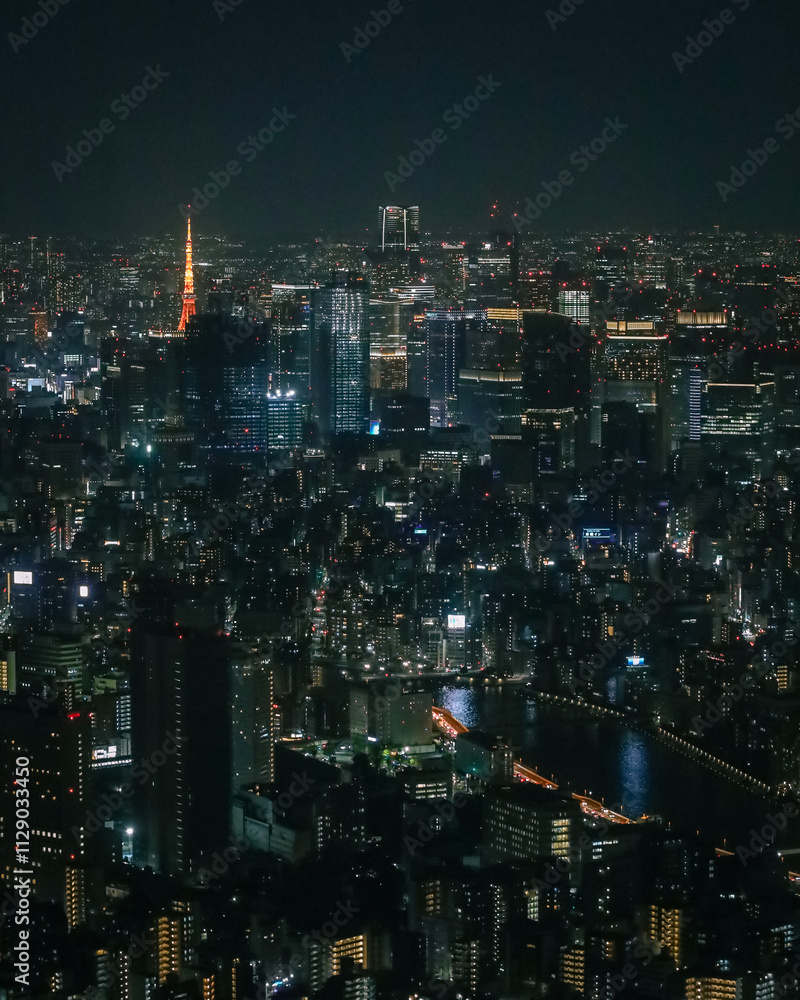 custom made wallpaper toronto digitalTokyo Landscape IV