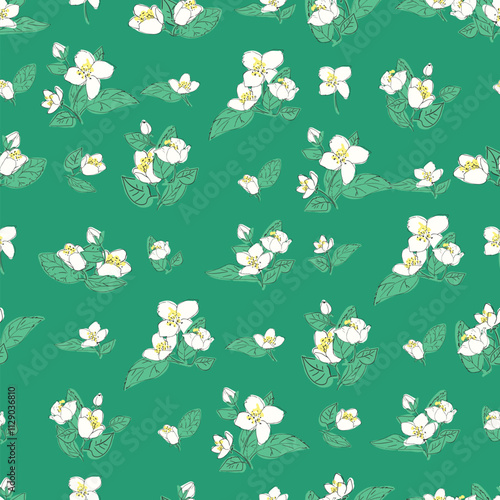 Seamless vector pattern with jasmine flowers and green leaves. Floral background illustration.