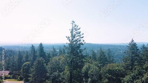 Aerial landscape of Council Crest Park view Portland nature view on sunny summer day in Oregon photo