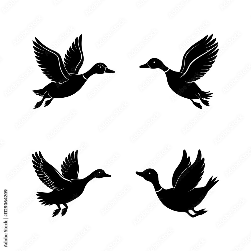 Obraz premium Set of Flying duck and Wild duck Flying silhouette, black and white silhouette, vector and&nbsp;illustration