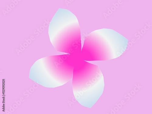 pink orchid flower