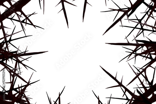 several thorn branches that form a frame without a background