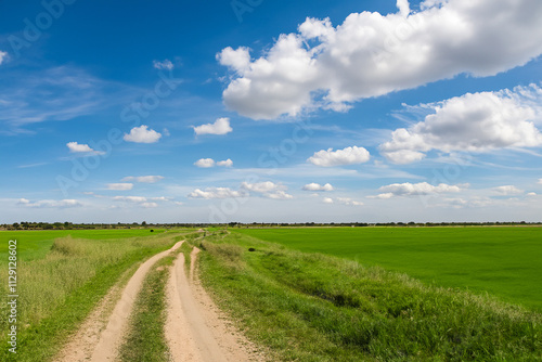 A dirt road in a green field with blue sky. A field of clouds and grass in the sky. Green field with blue sky and nature on the road. Green field with green grass and clouds on the road lifestyle.