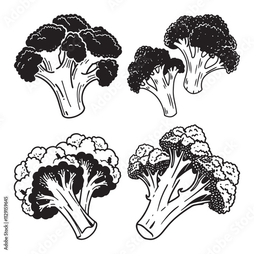 Broccoli with line & fill style set-4