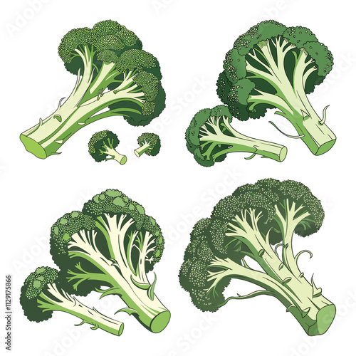 Broccoli with vector art style set-3