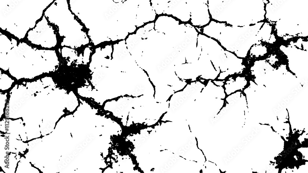 Fototapeta premium Cracked white surface texture. Black and white cracked texture, Abstract fracture design. Crack texture lines isolated on white background.