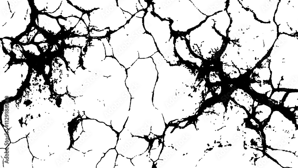 Cracked white surface texture. Black and white cracked texture, Abstract fracture design. Crack texture lines isolated on white background. Cracked white surface texture. Black and white cracked texture, Abstract fracture design. Crack texture lines isolated on white background.