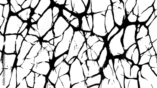 Cracked white surface texture.  Black and white cracked texture, Abstract fracture design. Crack texture lines isolated on white background.