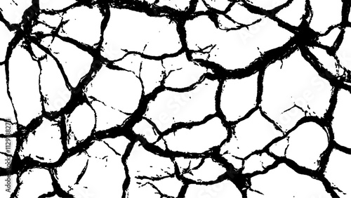 Cracked white surface texture.  Black and white cracked texture, Abstract fracture design. Crack texture lines isolated on white background.