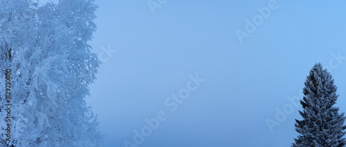 Raureif in einer verschneiten winterlichen Landschaft mit Bäumen