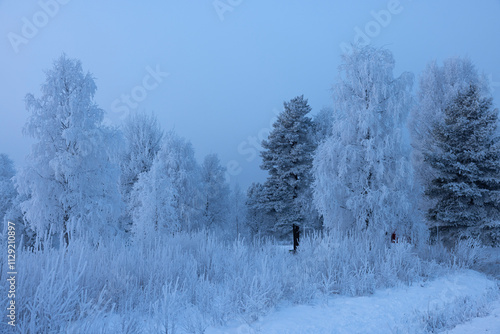Raureif in einer verschneiten winterlichen Landschaft mit Bäumen
